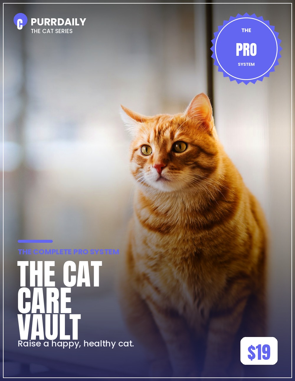 The Cat Care Vault cover